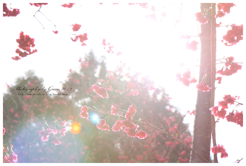 http://i.dcview.tw/gallery/201202/f59812378b0855c8f531fb1884e55d40.jpg