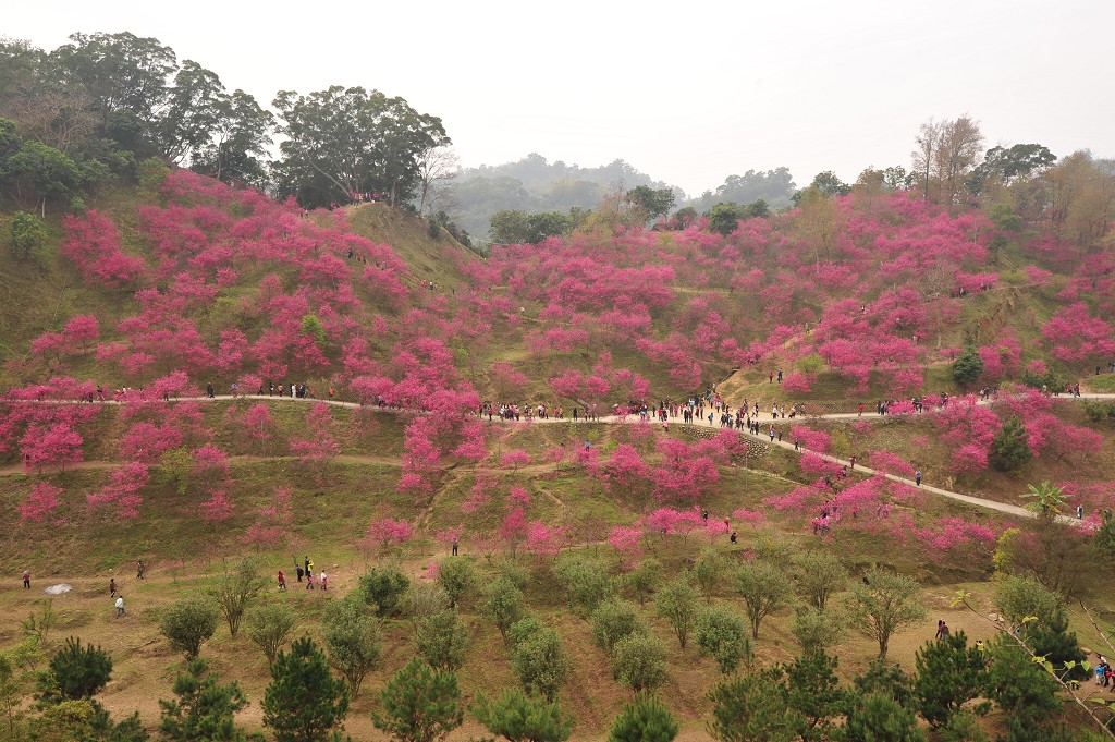 http://i.dcview.tw/gallery/201202/f5d5a76474dc12d21592565399252eb4.jpg