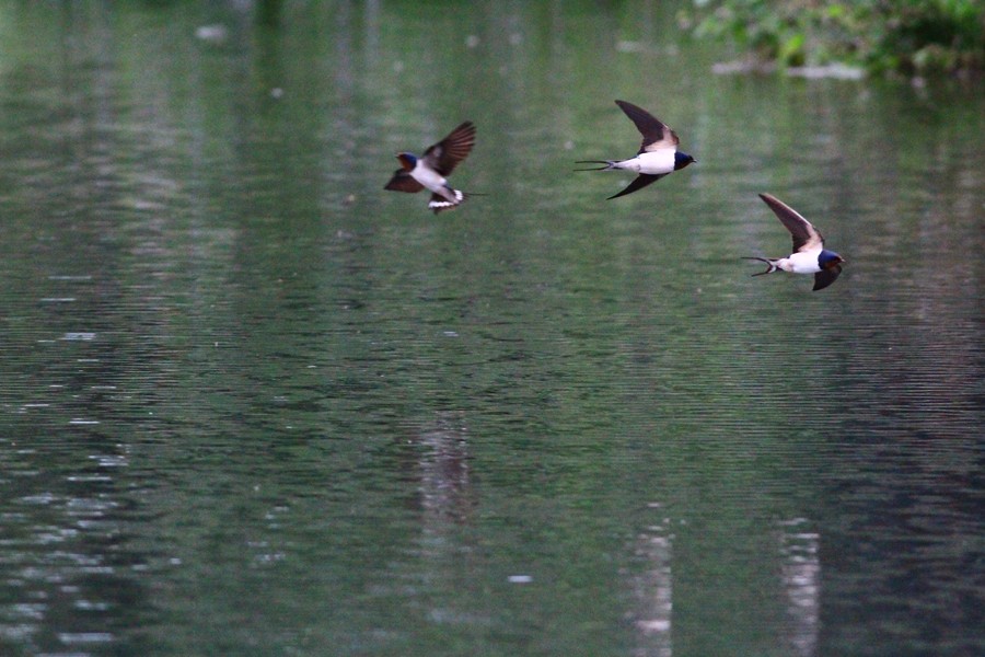 http://i.dcview.tw/gallery/201202/f7877fe9a88bc96f5257e9c62423895e.jpg