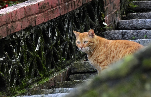 http://i.dcview.tw/gallery/201202/f7cee4348872fc176f33d1348fafbed9.jpg