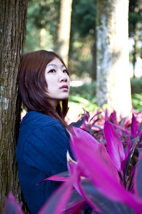 http://i.dcview.tw/gallery/201202/f833ac01bb1795ca3185aa11bab7349c.jpg