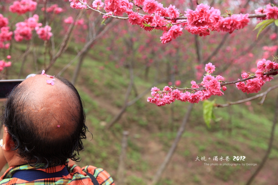 http://i.dcview.tw/gallery/201202/fa33ddb2b29b722d0c678a1ede9932a7.jpg
