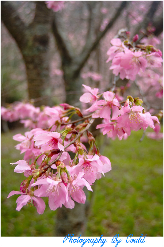 http://i.dcview.tw/gallery/201202/fa9808501866a4cb007387d809b9bdb1.jpg