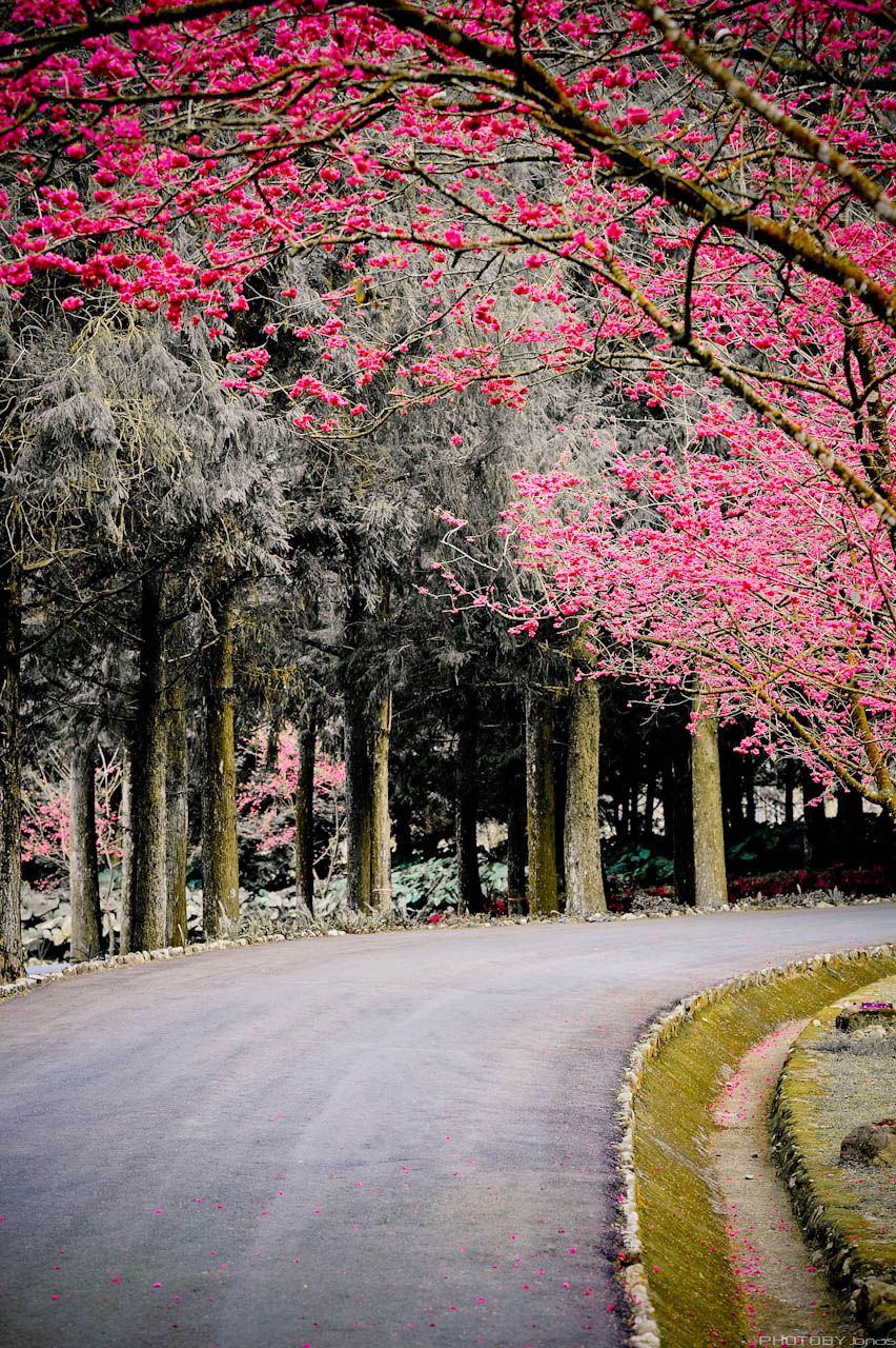 http://i.dcview.tw/gallery/201202/fa98fc0b7acd3e582a098cd13e73a84f.jpg