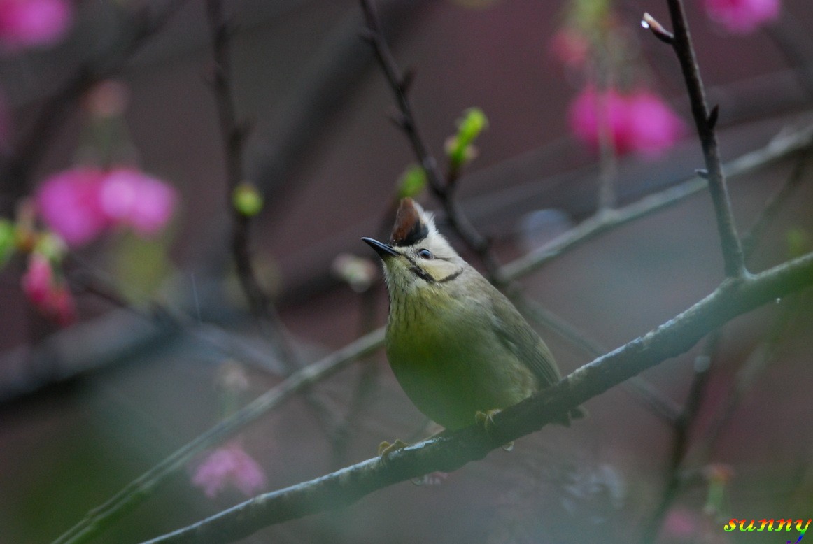 http://i.dcview.tw/gallery/201202/fb2ed93e5ccb08d50299da686988c3da.jpg