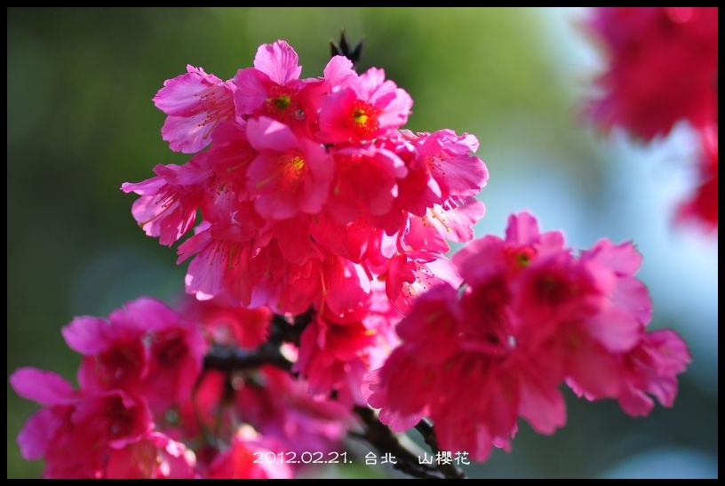http://i.dcview.tw/gallery/201202/fb670c2d4192ba414803aaf40ff66fea.jpg