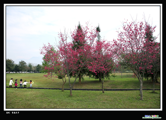 http://i.dcview.tw/gallery/201202/fcc78a49806aa29a36b6dd5dd0a0cb0a.jpg