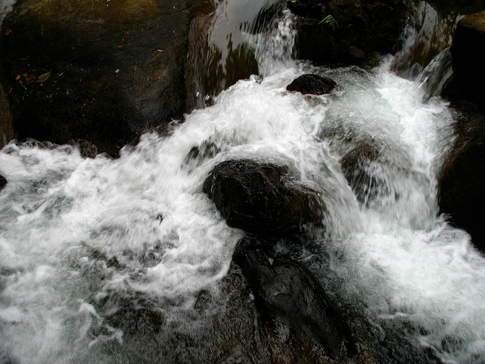 http://i.dcview.tw/gallery/201202/feb2f274599e5656b0f31cc006d44937.jpg
