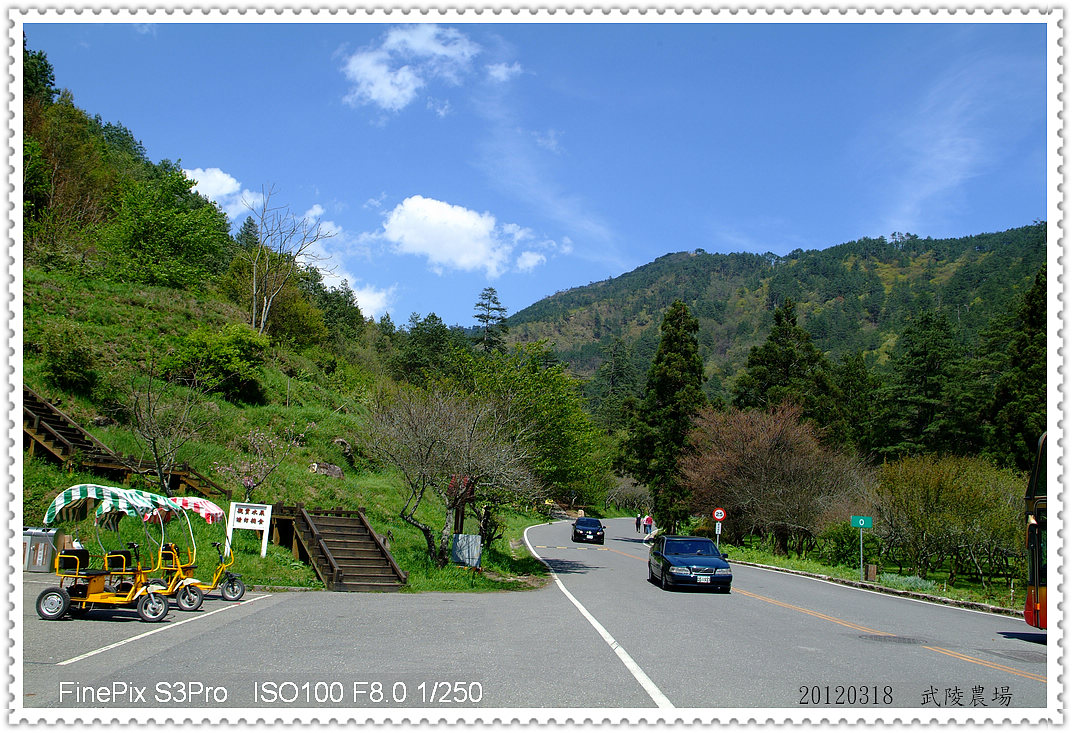 http://i.dcview.tw/gallery/201203/01d81638bac0d2f15105f3a34866848e.jpg