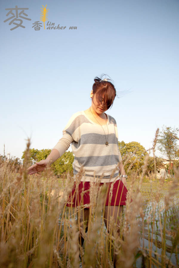 http://i.dcview.tw/gallery/201203/01fd043d372c026e417a54e8ce3b69f5.jpg