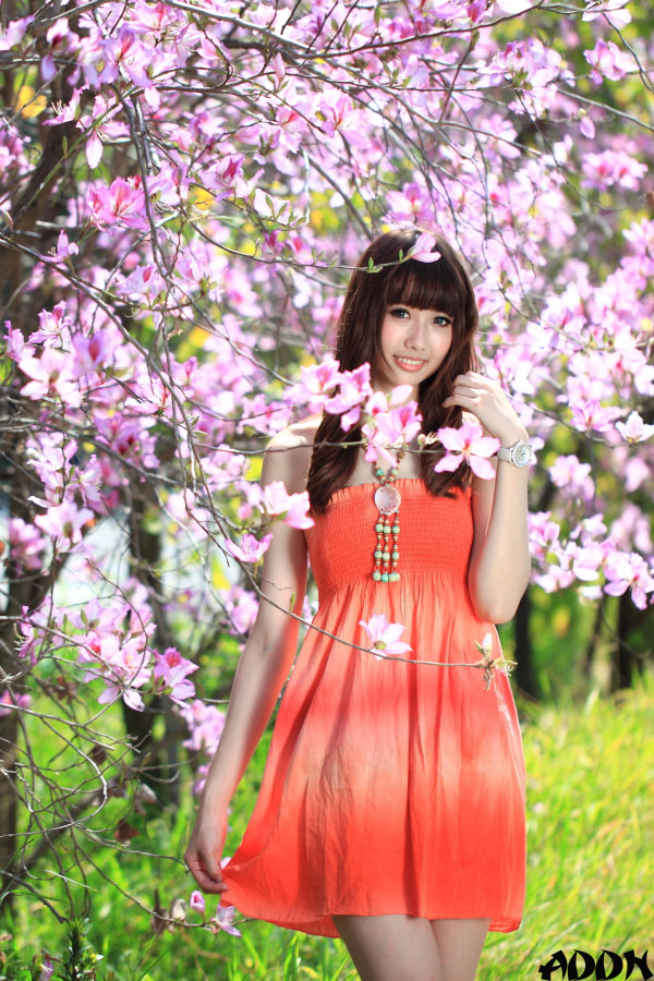 http://i.dcview.tw/gallery/201203/04a409d23f778a69c8811689eb2cfbcf.jpg