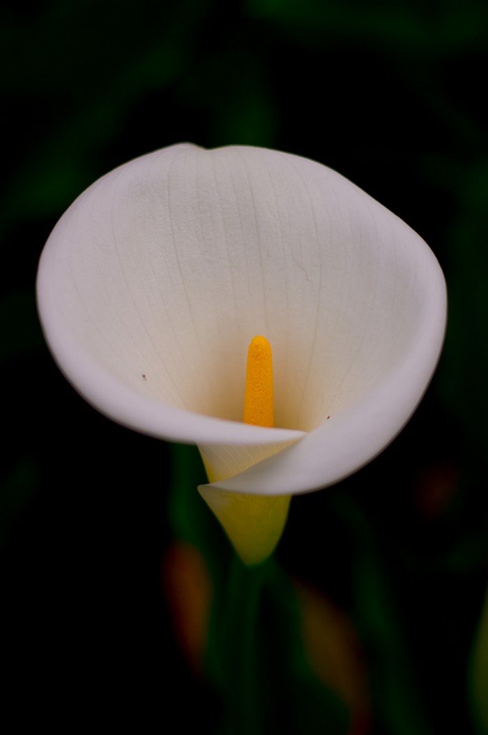 http://i.dcview.tw/gallery/201203/07008948c0ce8ee2c451b34b856d7629.jpg