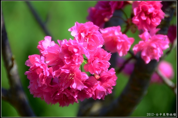 http://i.dcview.tw/gallery/201203/0889179d8ae20e806ed7a51fa7d85cf0.jpg