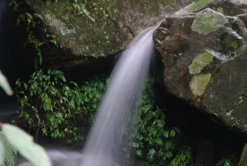 http://i.dcview.tw/gallery/201203/09f96e8a81abacd9e1b53b920e9fbbd7.jpg
