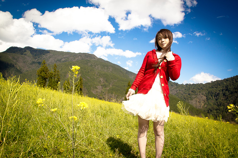 http://i.dcview.tw/gallery/201203/130b08c7b1f78513d20bf164a4d47f0b.jpg