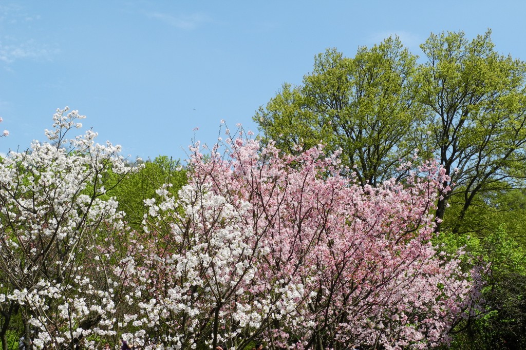 http://i.dcview.tw/gallery/201203/13ad02e3bd6a0b7ae6ecb039990257bf.jpg