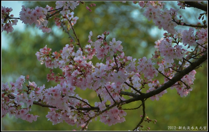 http://i.dcview.tw/gallery/201203/1596ddd26e78d0ac45d733f168e90590.jpg