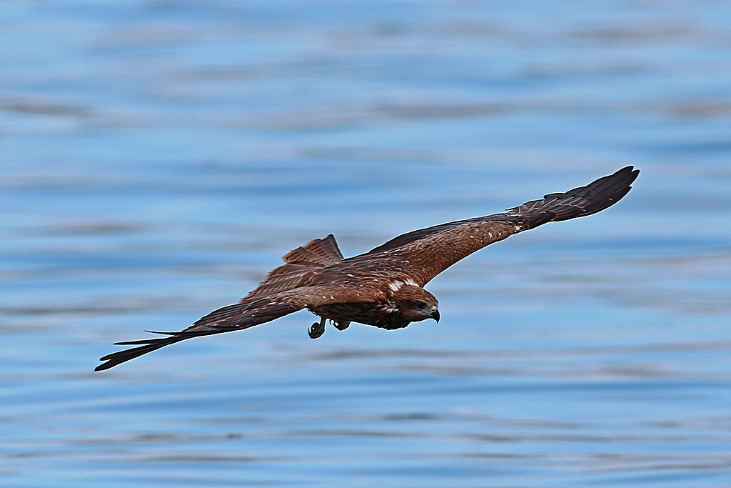 http://i.dcview.tw/gallery/201203/1624715cbbc021ac1f9bf1914f4d3cb4.jpg