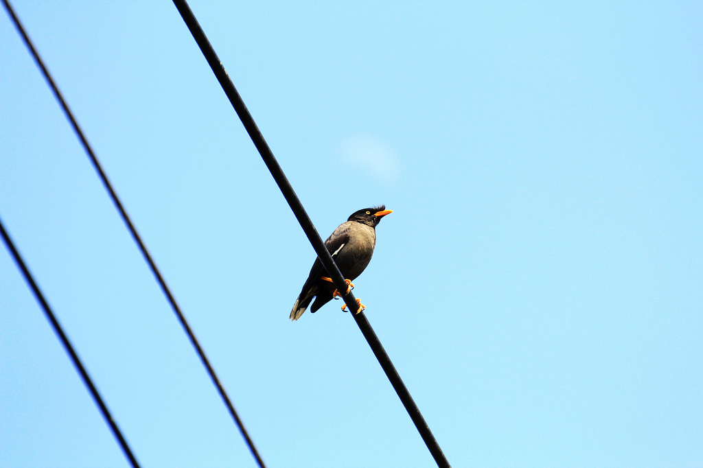 http://i.dcview.tw/gallery/201203/16908f3fc685079679d427f5edaefe35.jpg