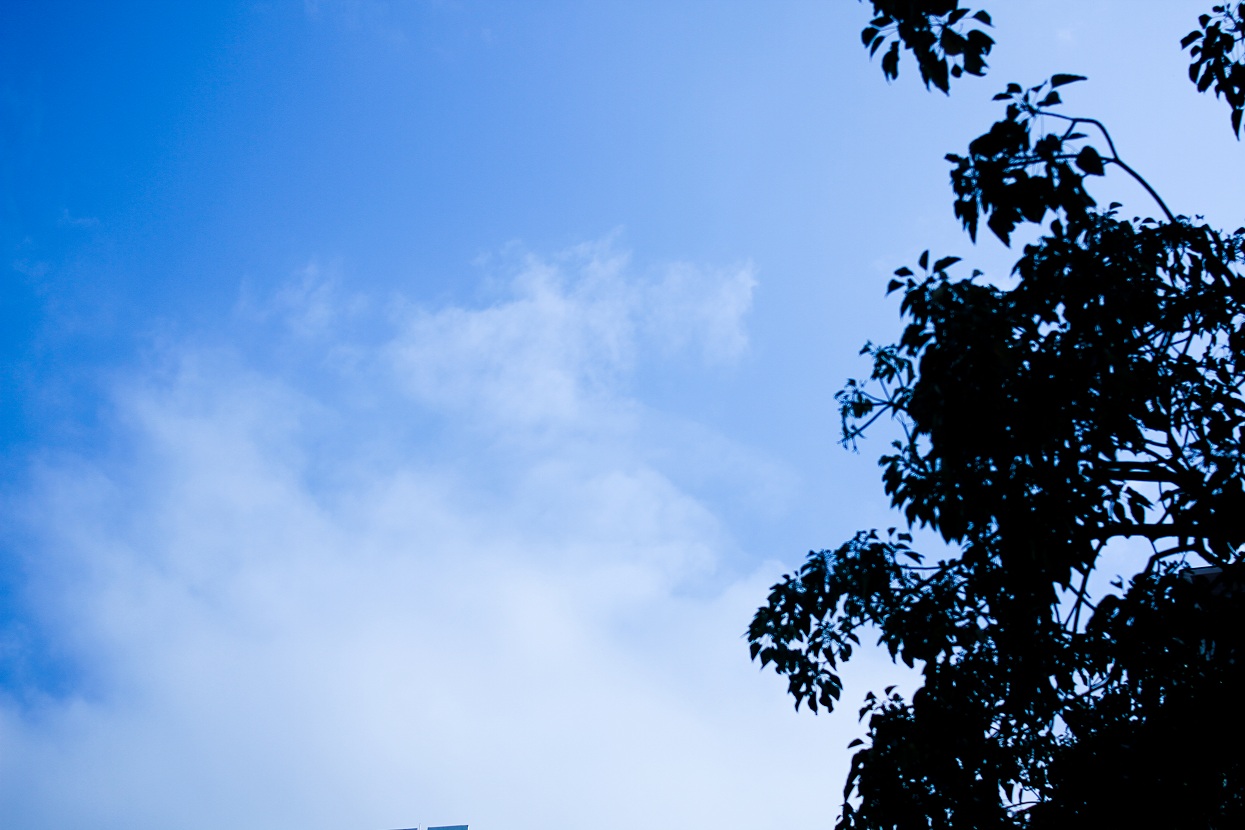 http://i.dcview.tw/gallery/201203/184a3ad8a514f55733c07c1b4d278d10.jpg