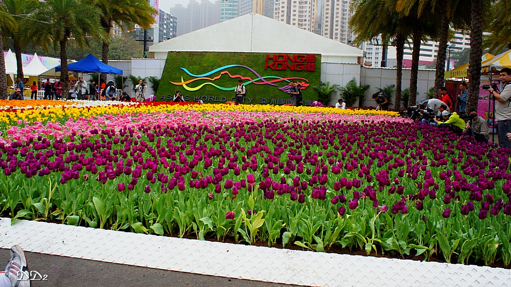 http://i.dcview.tw/gallery/201203/1a29e22ee4783a2c4c76f6ca8486651e.jpg
