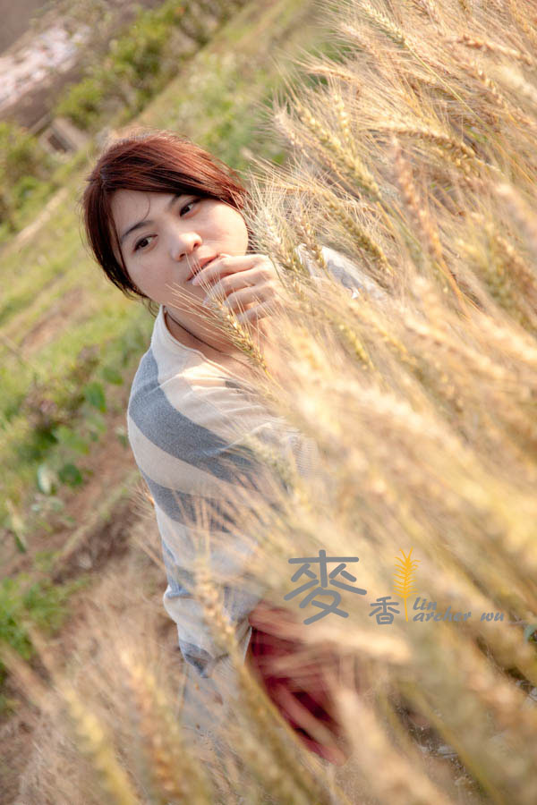 http://i.dcview.tw/gallery/201203/1ba64be52f3abdec51a7e4a3a1b3adee.jpg