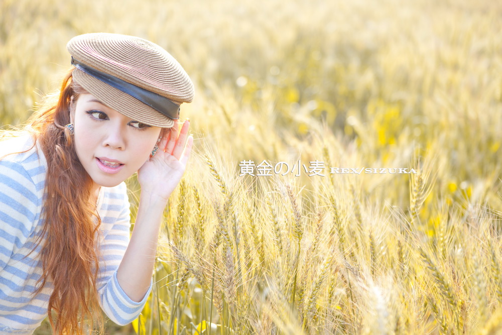 http://i.dcview.tw/gallery/201203/1c525d3fa96010b4d15535e829607796.jpg