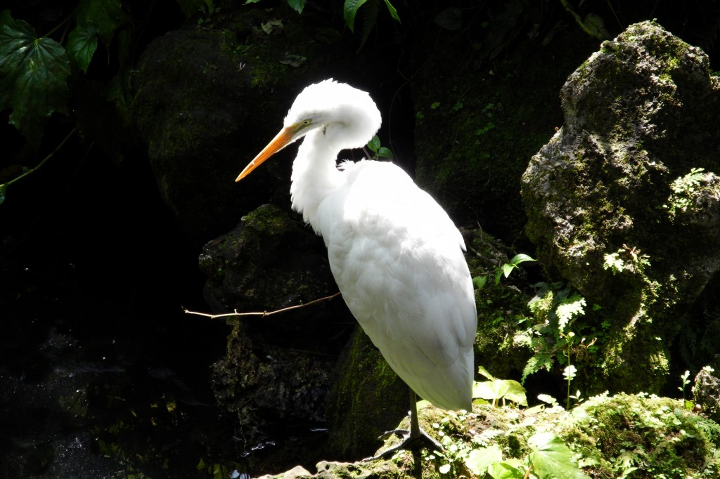 http://i.dcview.tw/gallery/201203/2550805b082eb28a00a85a65f73b238d.jpg