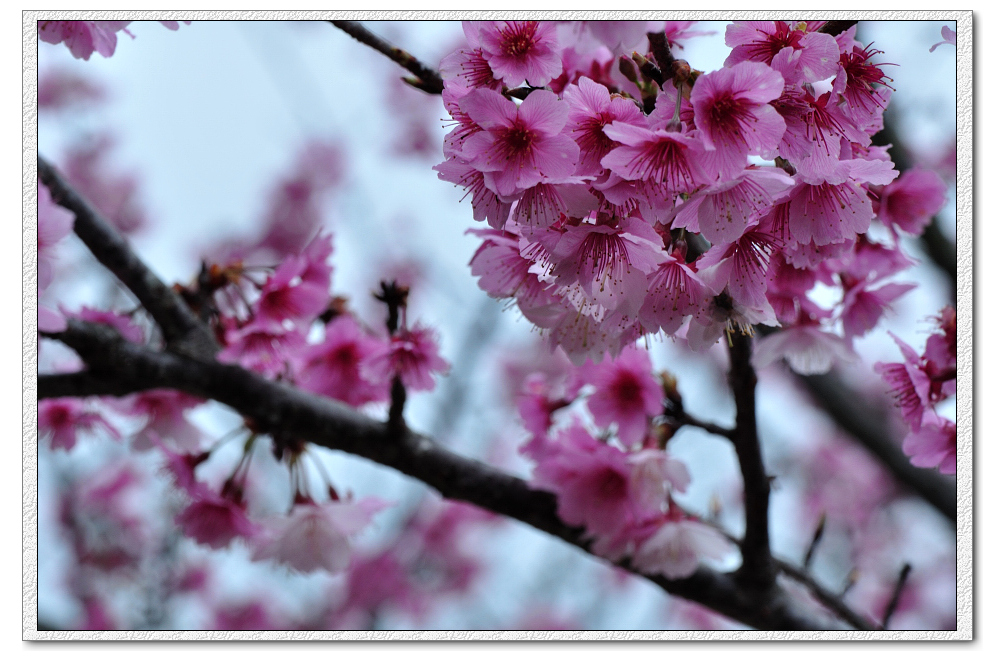 http://i.dcview.tw/gallery/201203/263de1f5750fb457d8c1060cd9aa75a8.jpg