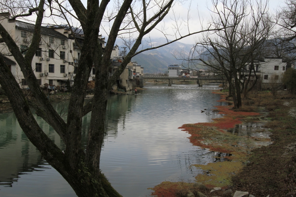 http://i.dcview.tw/gallery/201203/28b53a2dceb462a4442635a78fed3ee0.jpg