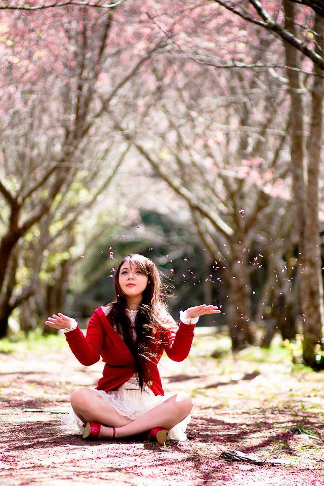 http://i.dcview.tw/gallery/201203/2b030f8b0dcb5230b37b5c6e0ba1316f.jpg