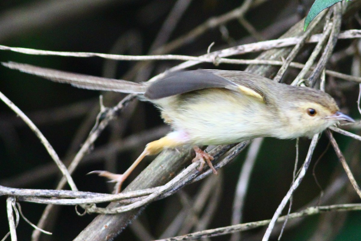 http://i.dcview.tw/gallery/201203/2c3d0874a02301bc70b03184fecb94b3.jpg