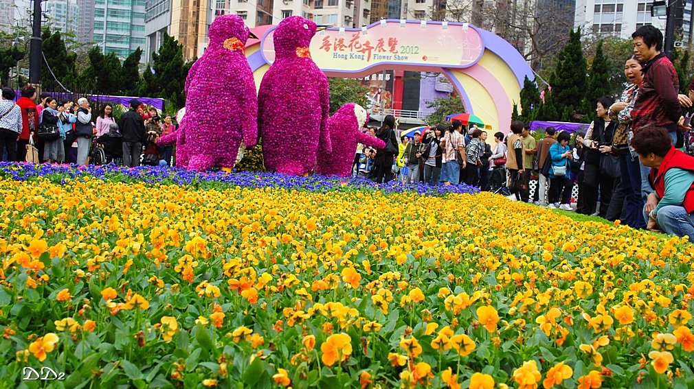 http://i.dcview.tw/gallery/201203/2c66e835ec69cb9c7cdbe69af2860535.jpg
