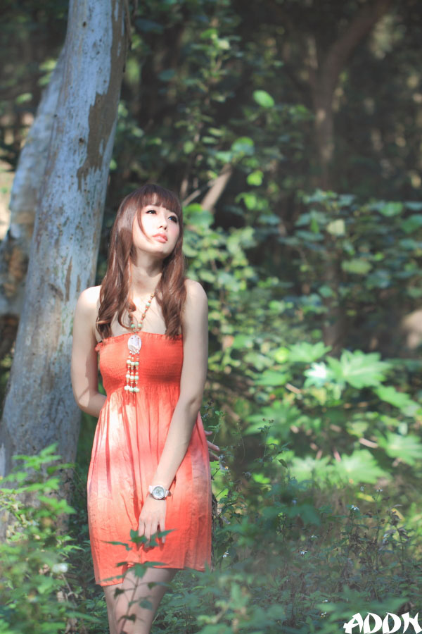 http://i.dcview.tw/gallery/201203/2efb1982948b20a15991c24ecc3ee903.jpg