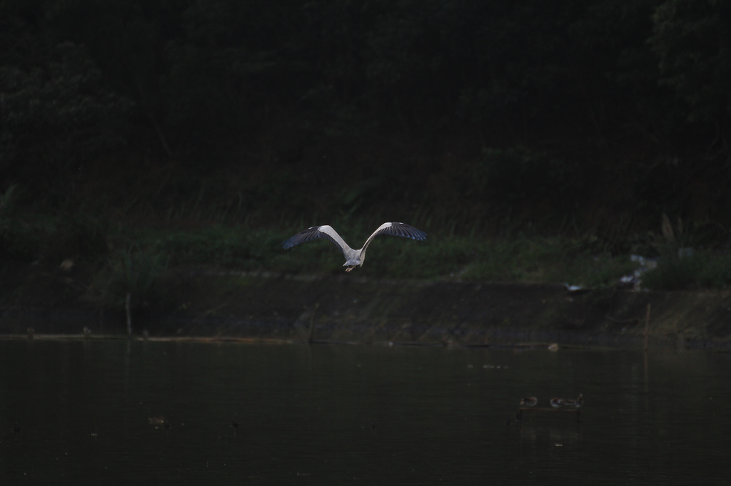 http://i.dcview.tw/gallery/201203/2f48ac6d991db898475b11311d2ad17d.jpg