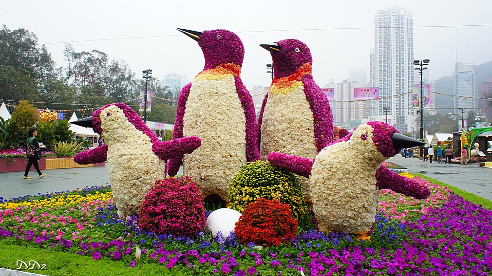 http://i.dcview.tw/gallery/201203/32cbfb0e5935c27f8130e79863110fb0.jpg