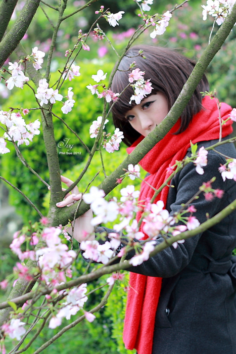 http://i.dcview.tw/gallery/201203/396572abad63705a65571f5817b544f5.jpg