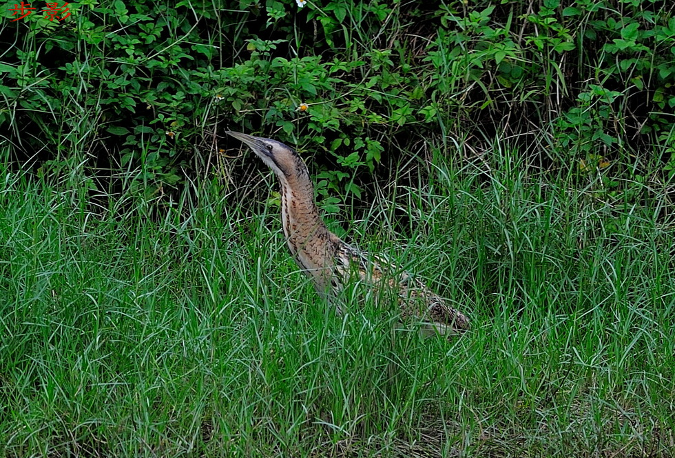 http://i.dcview.tw/gallery/201203/3a06f75f0c6192305b7907204099a66c.jpg