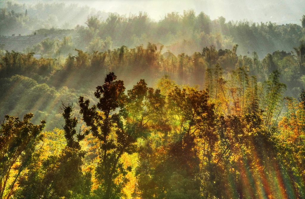 http://i.dcview.tw/gallery/201203/3a52a84f9045825bef6c458b40b5ea46.jpg