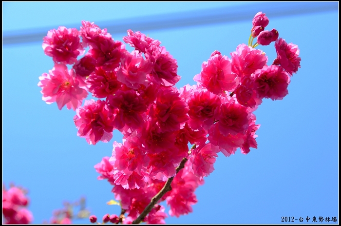 http://i.dcview.tw/gallery/201203/3aa16088e8fc325a2ae8bcf40e8b1023.jpg