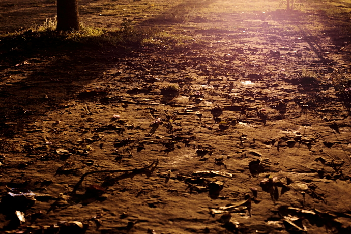 http://i.dcview.tw/gallery/201203/3d0b013e46d8203a7baa75d723215f71.jpg