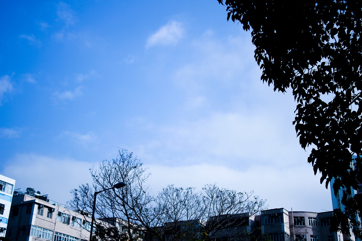 http://i.dcview.tw/gallery/201203/3e3ba51838b508b4b3009ce4e4014ad5.jpg