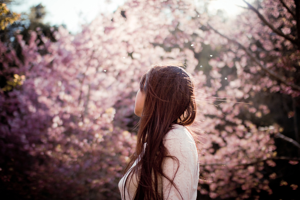 http://i.dcview.tw/gallery/201203/3eed22bb53d725b805635f15265e9fce.jpg