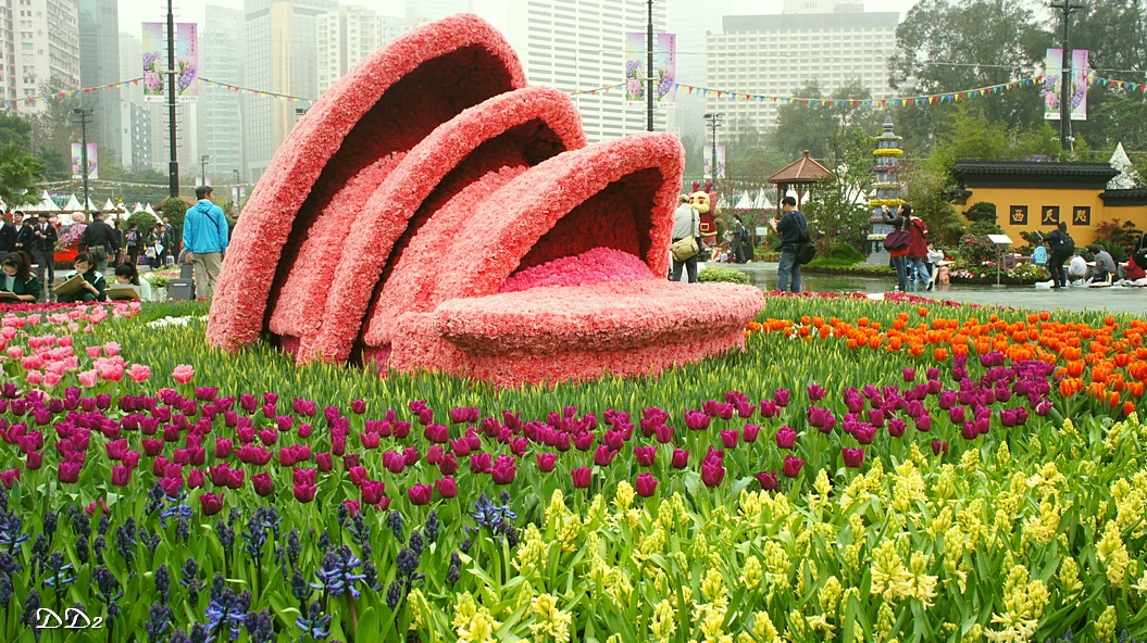 http://i.dcview.tw/gallery/201203/40d39561e9797d5aade6d0887dc11111.jpg