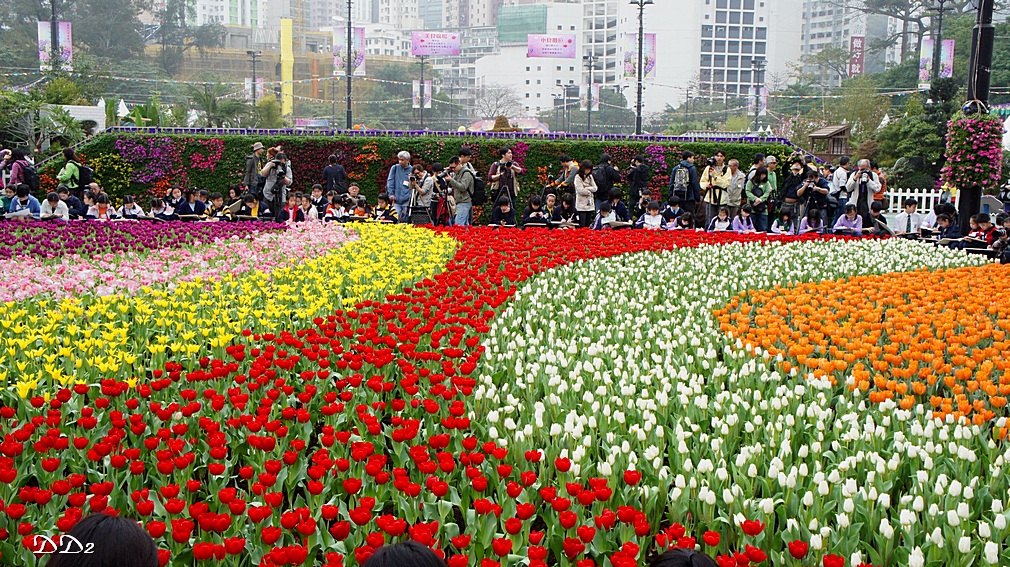 http://i.dcview.tw/gallery/201203/429c46594806de586d18501b963658c5.jpg