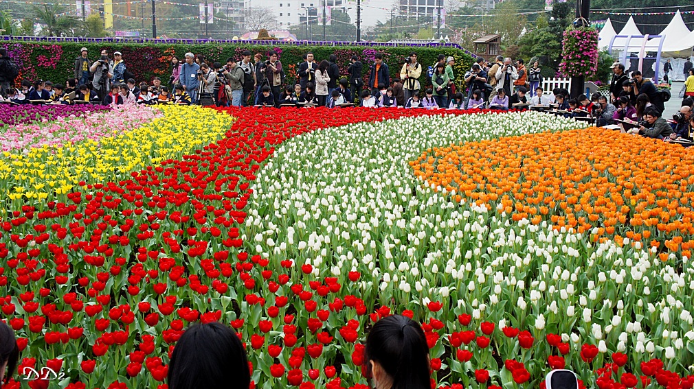 http://i.dcview.tw/gallery/201203/42d60727d8c02400eff802b0a659ad60.jpg