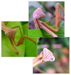 沒事請多微笑!!