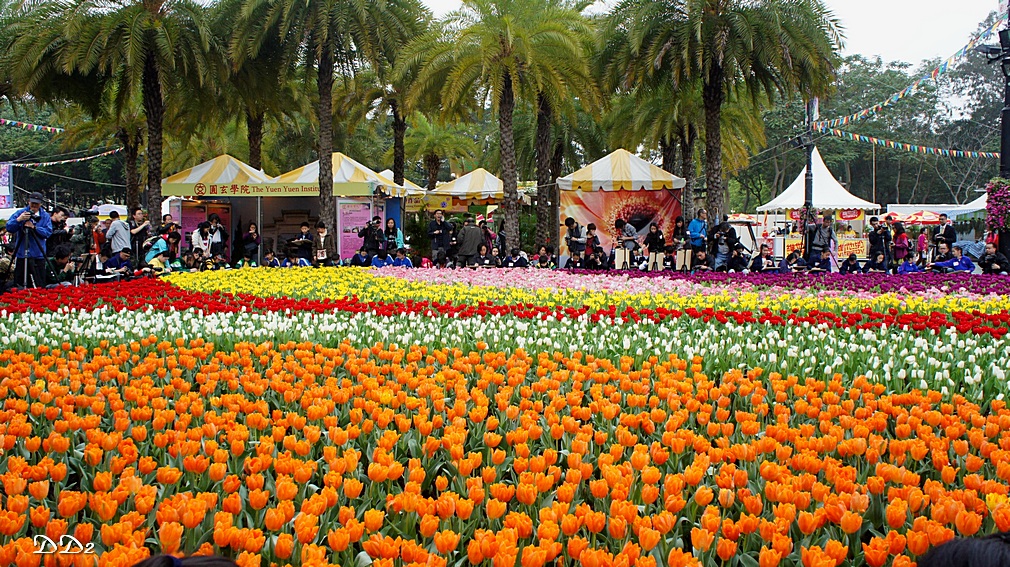 http://i.dcview.tw/gallery/201203/49db2c925ec81887da3622dd9c8b7196.jpg