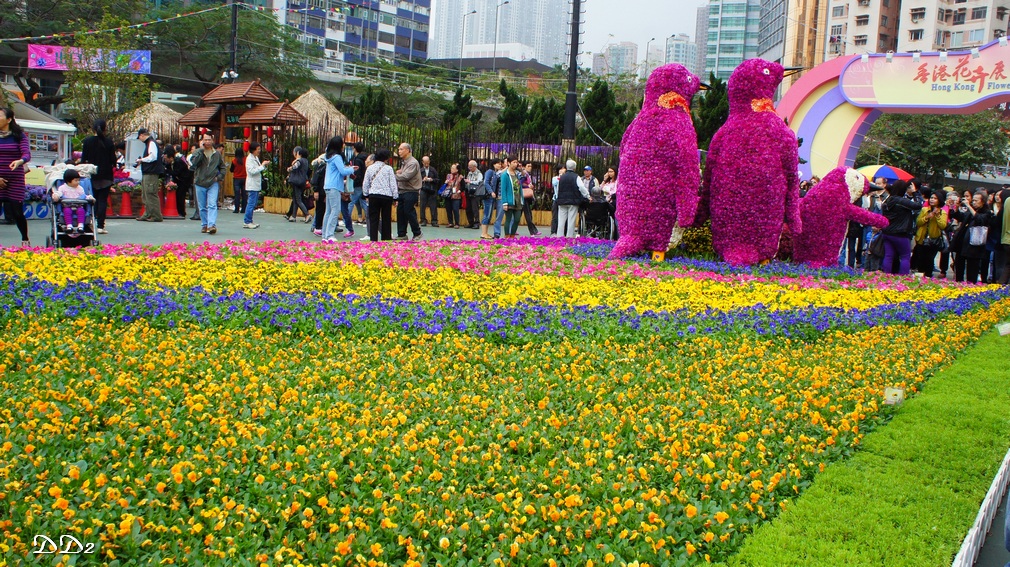 http://i.dcview.tw/gallery/201203/4e5d9ba863dbec699bd30a2f0207363c.jpg