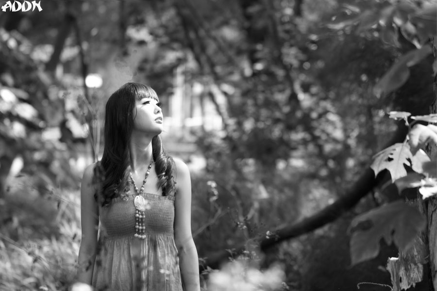 http://i.dcview.tw/gallery/201203/4f1d5856825a9568d1d859ab752a99b6.jpg